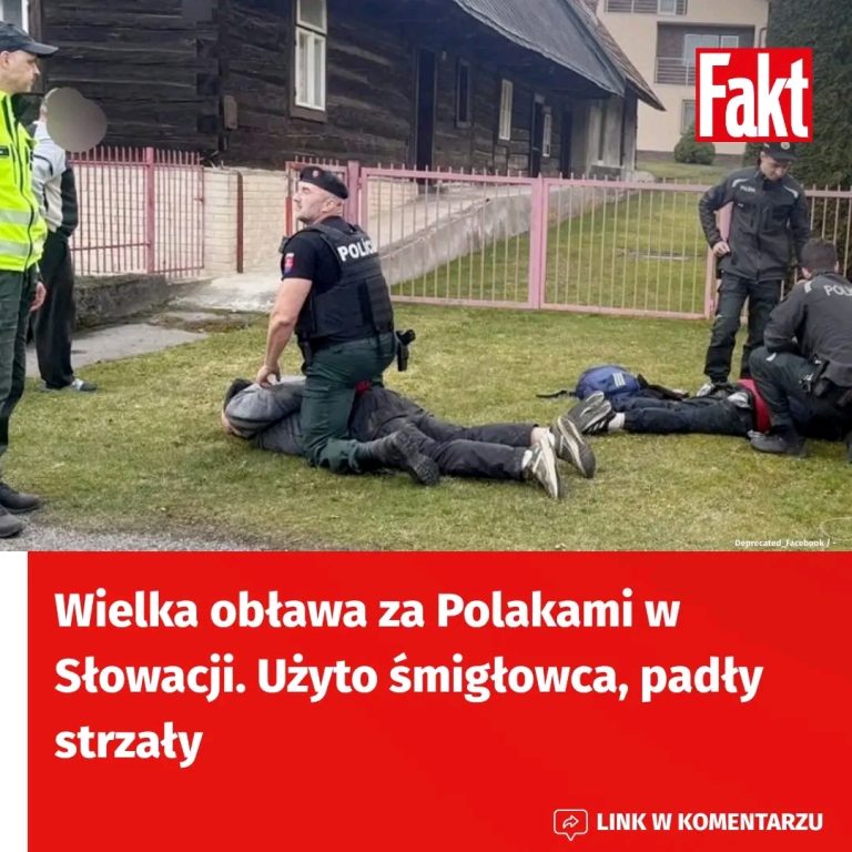 Po_cig_za_Polakami_w_S_owacji_przypomina__sceny_z_film_w_akcji___mig_owce__drony_i_strza_y___8211__co_wydarzy_o_si__w_Demanowskiej_Dolinie_