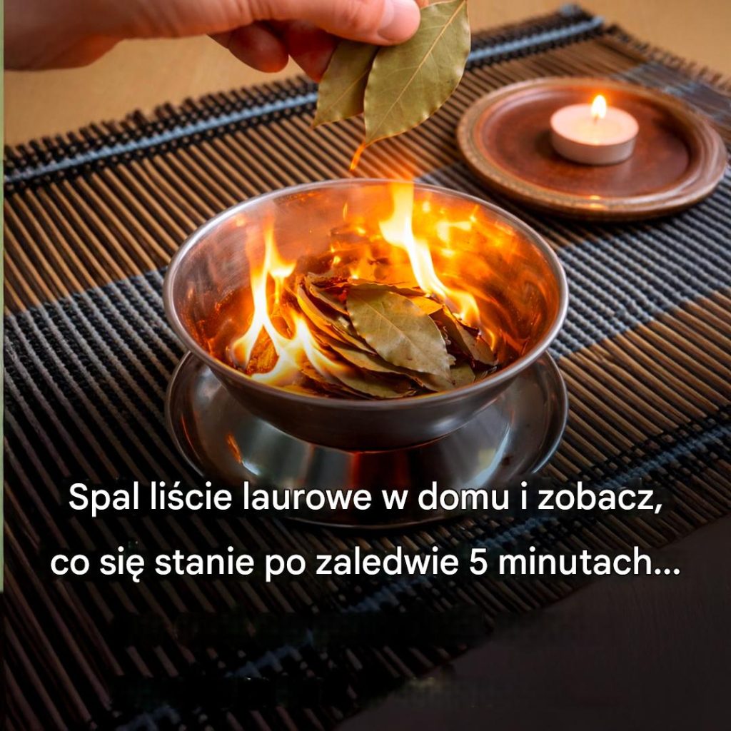 Spal_li_cie_laurowe_w_domu__zdziwisz_si___co_si__stanie_5_minut_p__niej