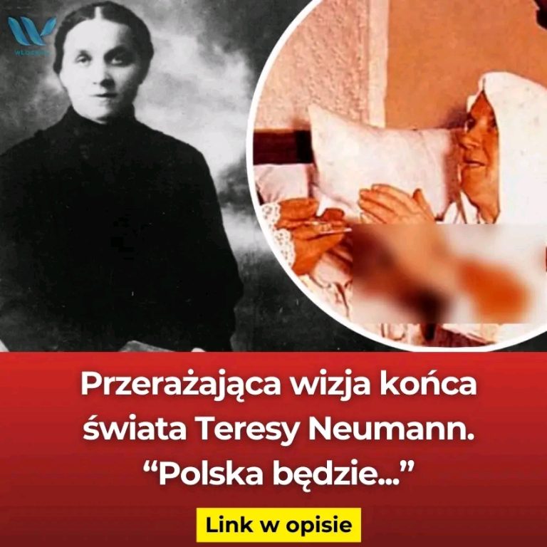 Ta_wizja_przera_a_tym_bardziej_dzi___8230_