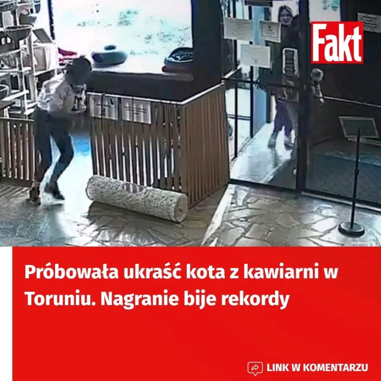 W_toru_skiej_kawiarni_dosz_o_do_niecodziennego_incydentu__kt_ry_przyci_gn___uwag__tysi_cy_internaut_w__Co_takiego_uchwyci_y_kamery_
