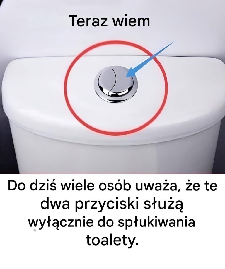 Wiele_os_b_uwa_a___e___te_dwa_przyciski_s_u___tylko_do_sp_ukiwania_toalety_-1