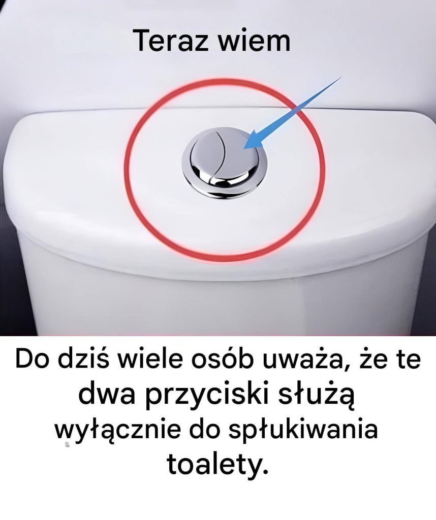Wiele_os_b_uwa_a___e___te_dwa_przyciski_s_u___tylko_do_sp_ukiwania_toalety_ Wiele_os_b_uwa_a___e___te_dwa_przyciski_s_u___tylko_do_sp_ukiwania_toalety_