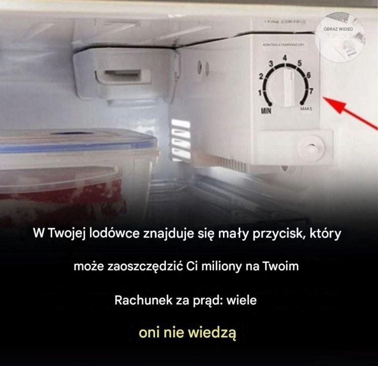 Zawsze_marnowali_my_energi__elektryczn___nawet_o_tym_nie_wiedz_c_