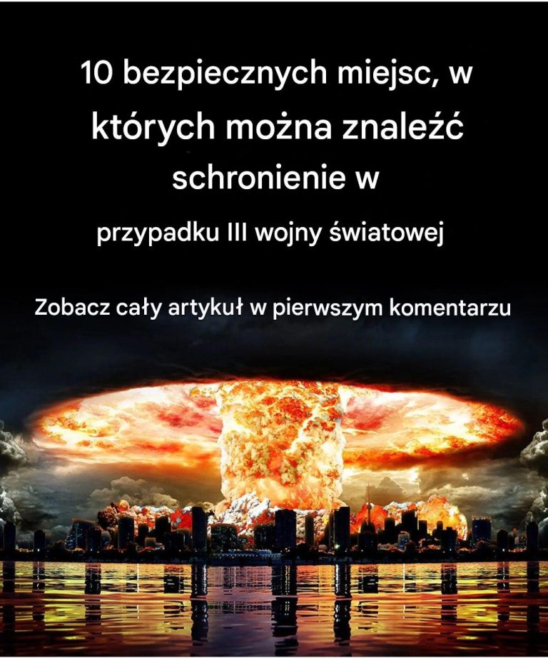 articleops-1772738013822