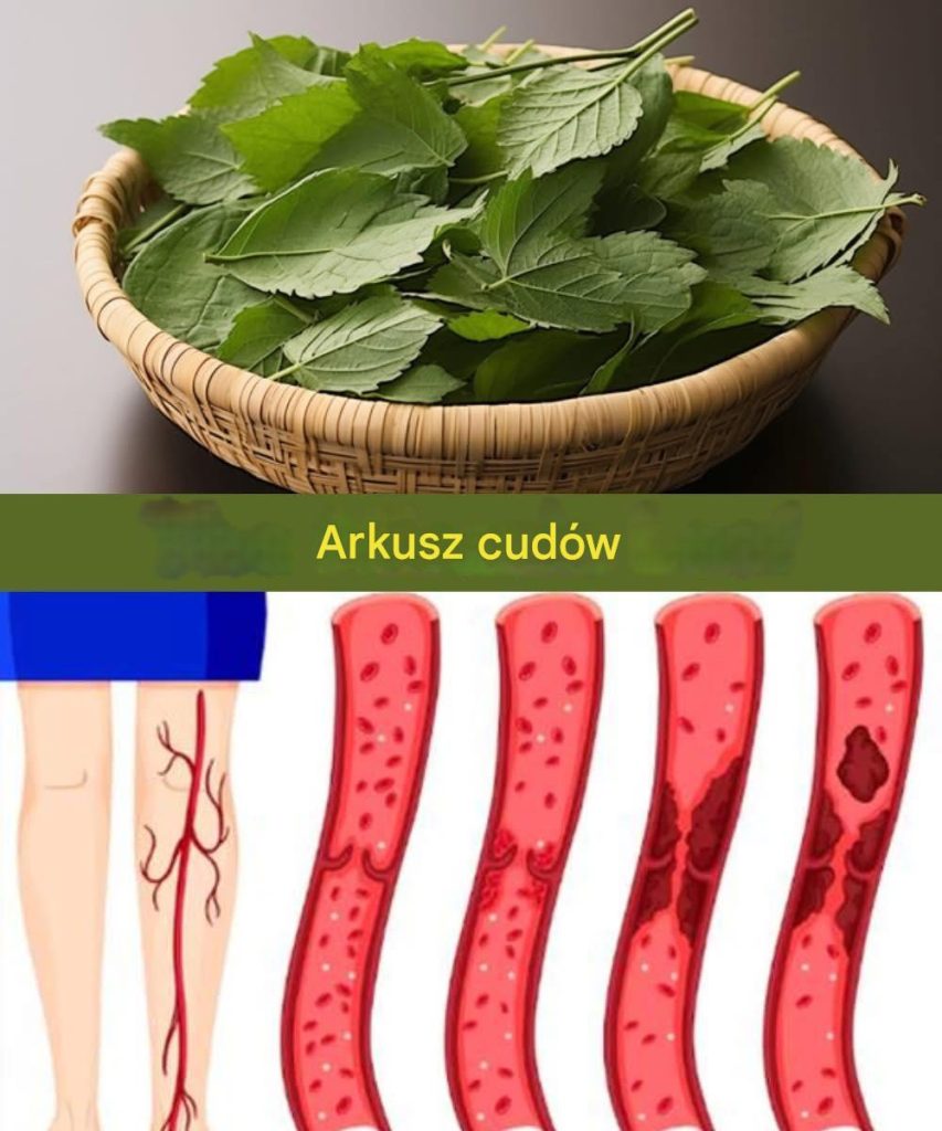 articleops-1772826555641 articleops-1772826555641