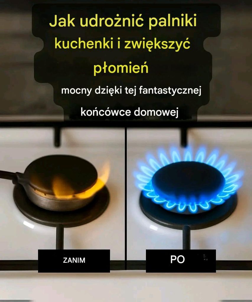 articleops-1773152426032 articleops-1773152426032