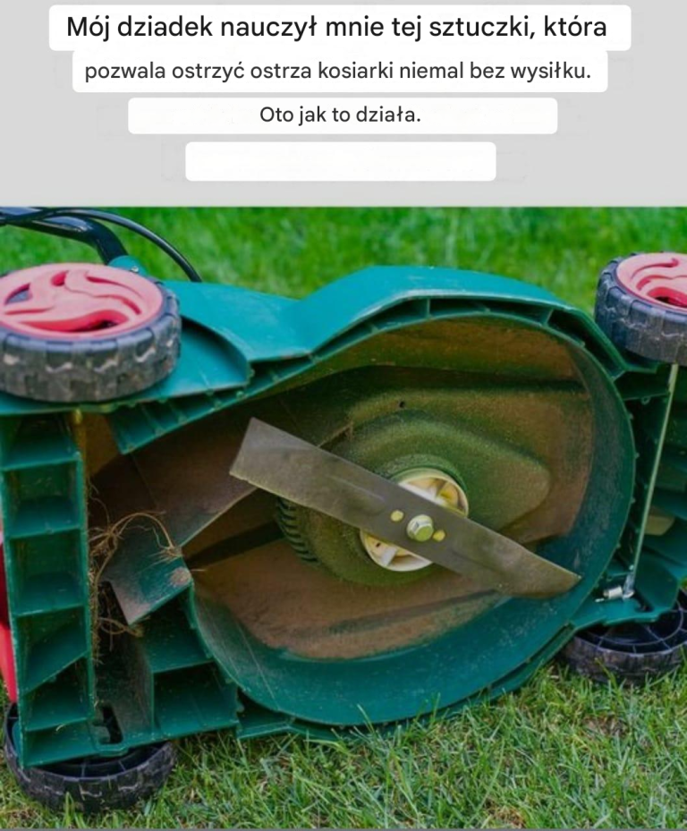 articleops-1774766988291