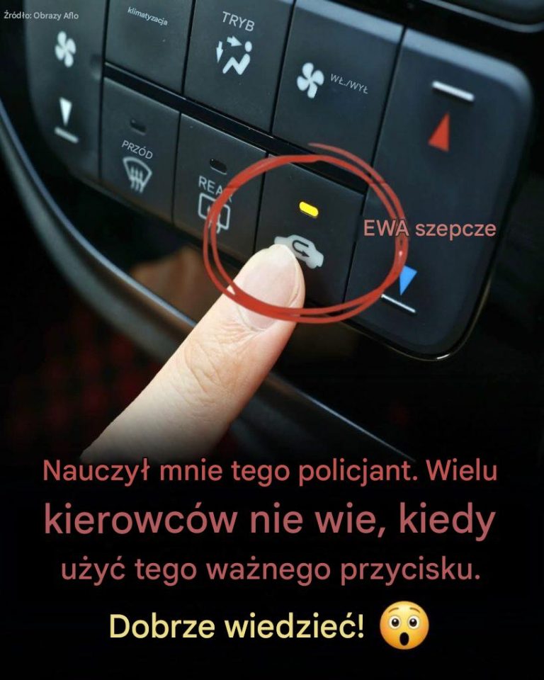 articleops-1774767045275