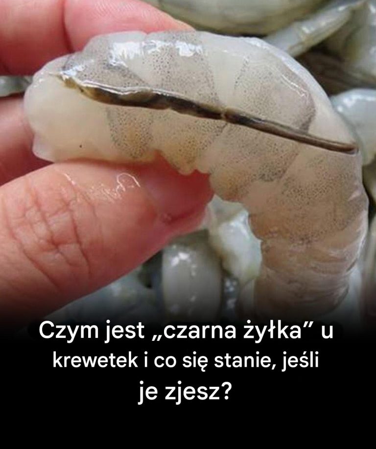 y_ka__krewetki__ma_o_znany_kulinarny_szczeg__