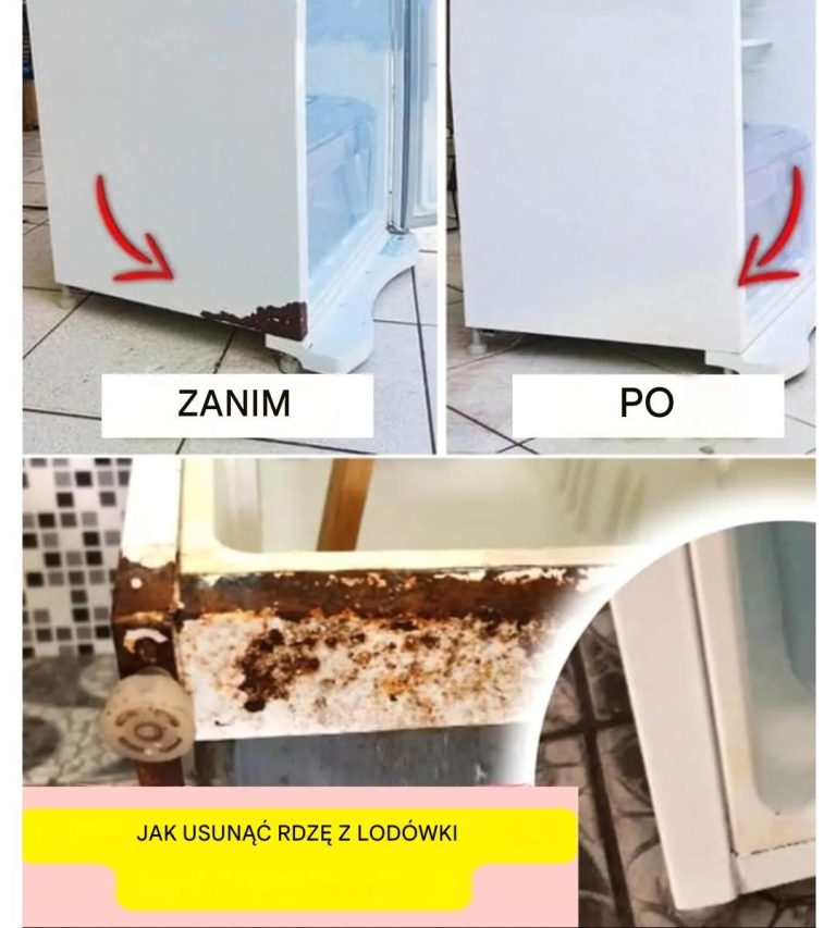 Jak_wyeliminowa__korozj__urz_dze__gospodarstwa_domowego_i_zaoszcz_dzi__pieni_dze