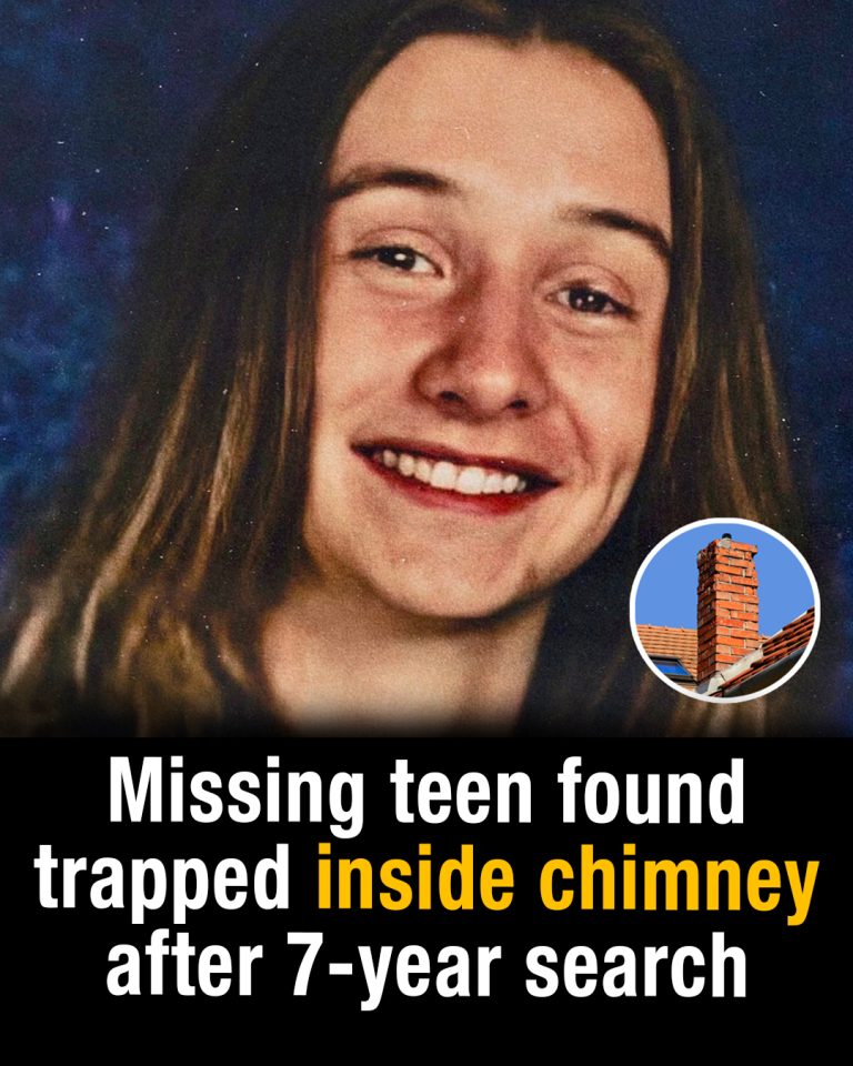 Missing_teen_found_trapped_inside_chimney_after_7_year_search