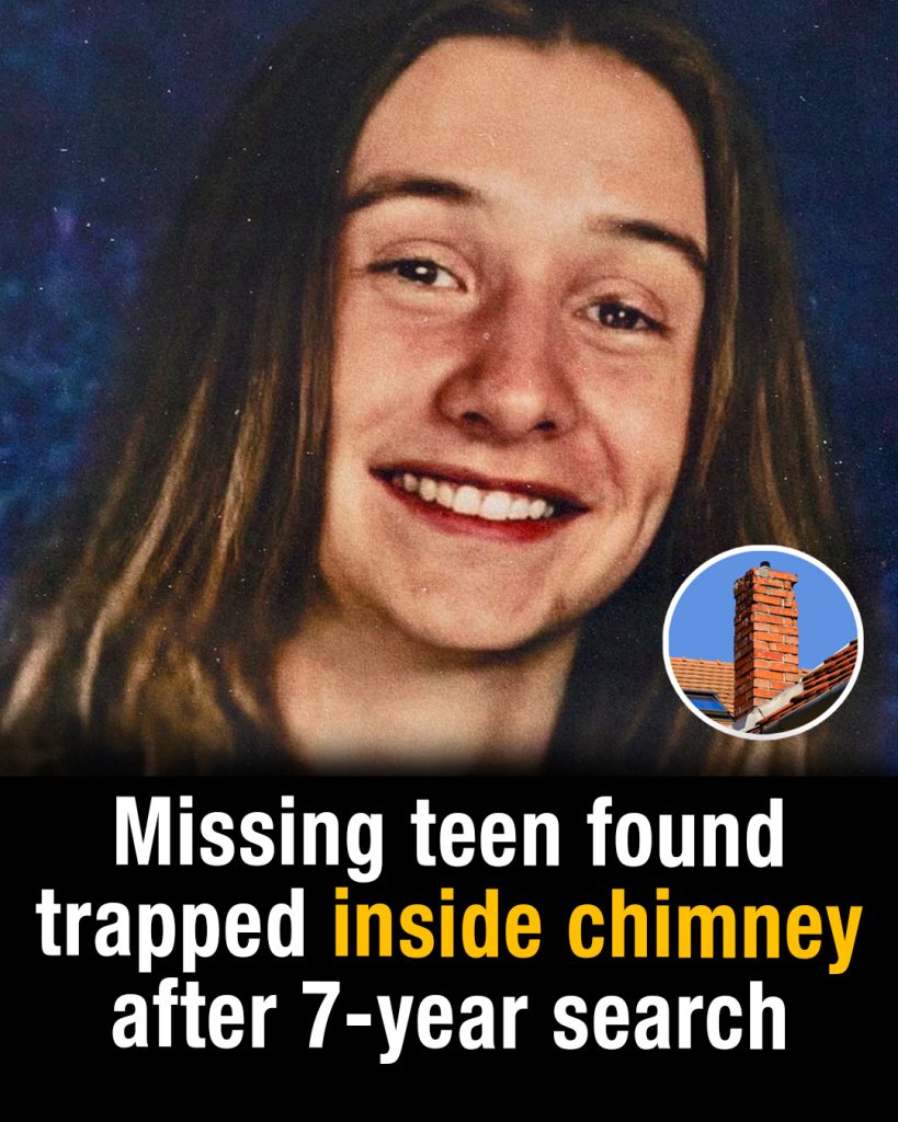 Missing_teen_found_trapped_inside_chimney_after_7_year_search Missing_teen_found_trapped_inside_chimney_after_7_year_search