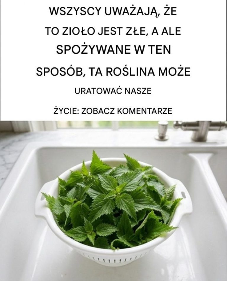 Ro_nie_wok___nas_i_wszyscy_uwa_aj__go_za_chwast__Jednak_spo_ywana_na_surowo__ro_lina_ta_mo_e_dos_ownie_uratowa__nam__ycie__Wyja_ni__tutaj__jak_j__spo_ywa__i_do_czego_si__j__stosuje_