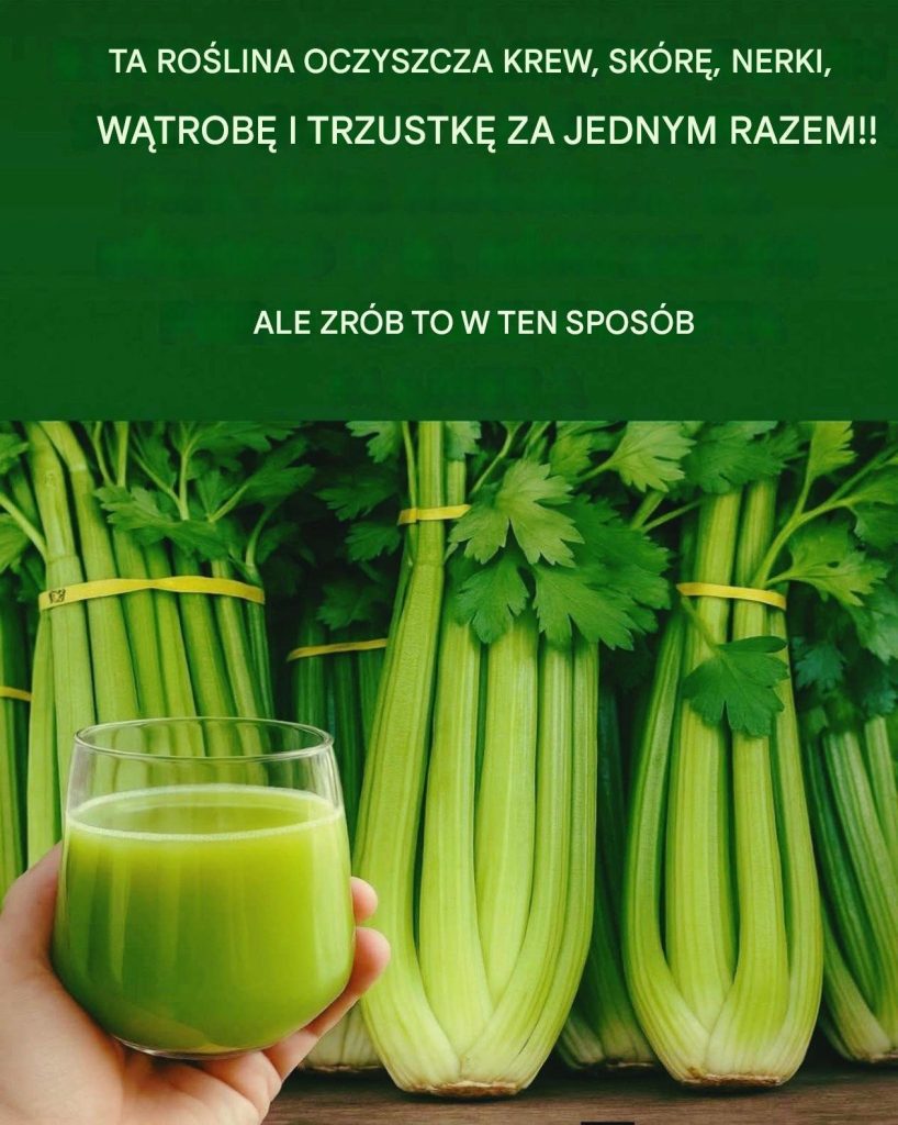 Sok_z_selera_na_pusty__o__dek__naturalnie_oczyszcza_krew__nerki_i_w_trob_ Sok_z_selera_na_pusty__o__dek__naturalnie_oczyszcza_krew__nerki_i_w_trob_