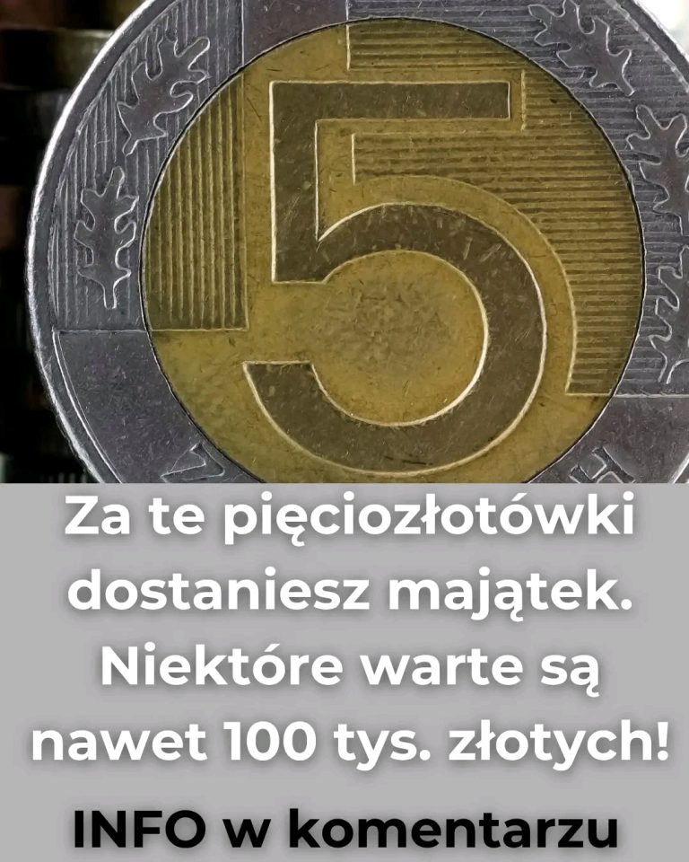 To_prawdziwa_fortuna_
