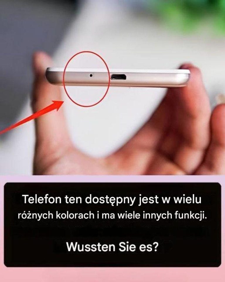 Viele_Leute_wissen_immer_noch_nicht__wie_n_tzlich_dieses_kleine_Loch_im_Telefon_ist