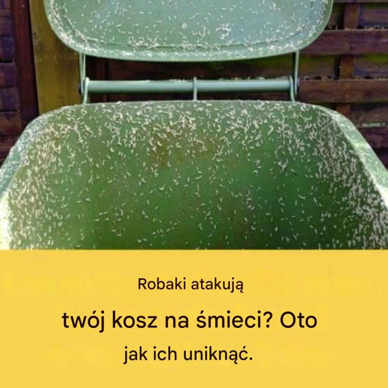 4_skuteczne_wskaz_wki__jak_pozby__si__robak_w_z_zewn_trznego_kosza_na__mieci