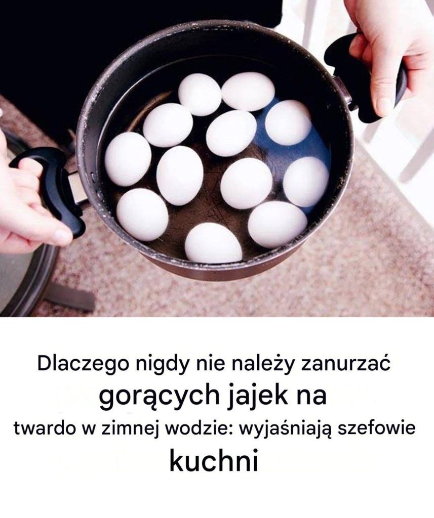 Dlaczego_nigdy_nie_nale_y_wprowadza__gor_cego_jajek_na_twardej_zimnej_wodzie__szef_w_kuchni