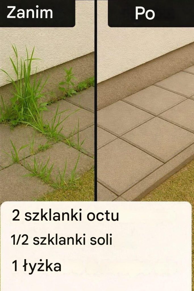 Jak_zrobi__superskuteczny_domowy_herbicyd Jak_zrobi__superskuteczny_domowy_herbicyd