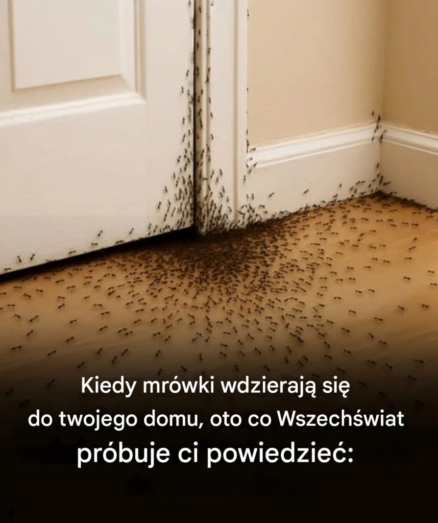 Kiedy_mr_wki_atakuj__Tw_j_dom__oto_co_Wszech_wiat_pr_buje_Ci_powiedzie_
