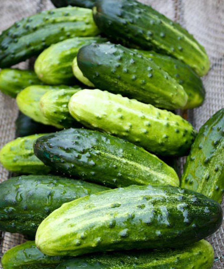 Lekarze_ujawniaj____e_jedzenie_og_rk_w_w_sa_atkach_powoduje_
