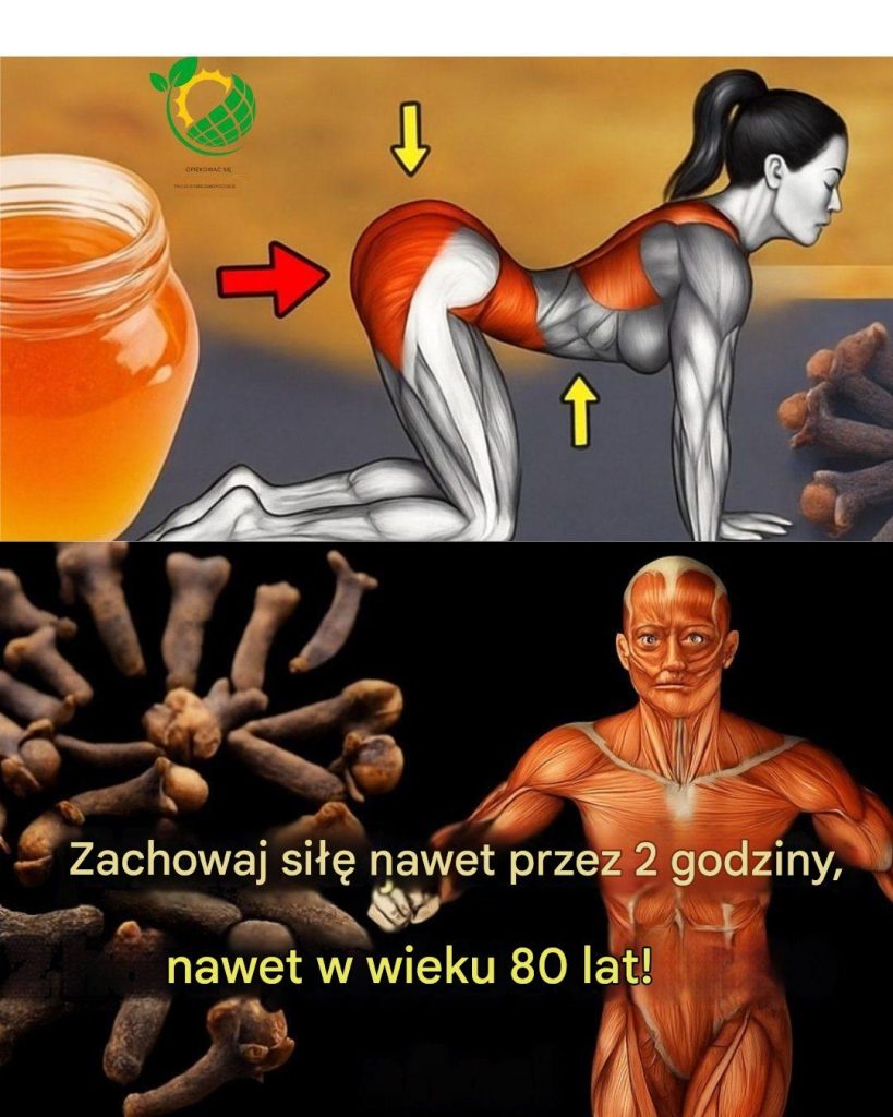 M_lange_du_gingembre_avec_des_clous_de_girofle_et_tu_verras_ce_que_cela_peut_faire_pour_toi___Je_li_chcesz_otrzyma__wi_cej_przepis_w__wystarczy_Ci___e_wybierzesz__Merci__Przepis_kompletny___ M_lange_du_gingembre_avec_des_clous_de_girofle_et_tu_verras_ce_que_cela_peut_faire_pour_toi___Je_li_chcesz_otrzyma__wi_cej_przepis_w__wystarczy_Ci___e_wybierzesz__Merci__Przepis_kompletny___