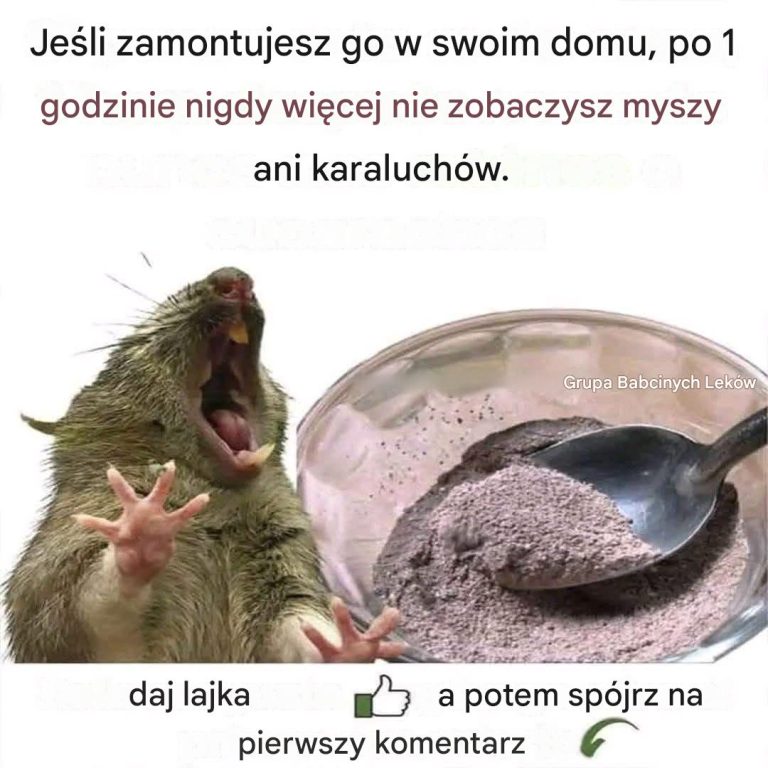 Naturalne_metody__kt_re_pomog__Ci_pozby__si__trutki_na_szczury__bez_trucizny_