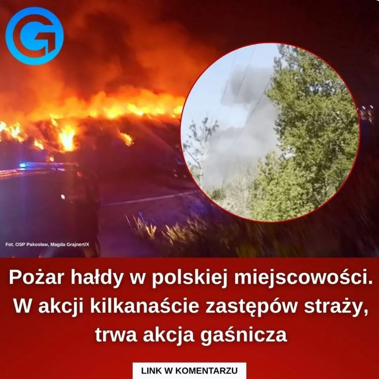 Po_ar_ha_dy_pod_Warszaw___W_akcji_kilkana_cie_zast_p_w_stra_y_Czytaj_wi_cej_