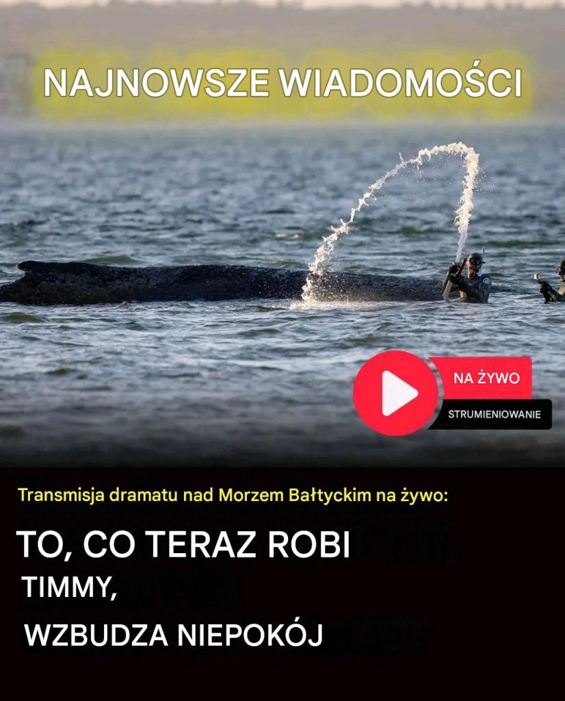 To__co_dzieje_si__teraz__pozostawia_nas_wszystkich_bez_s_owa_