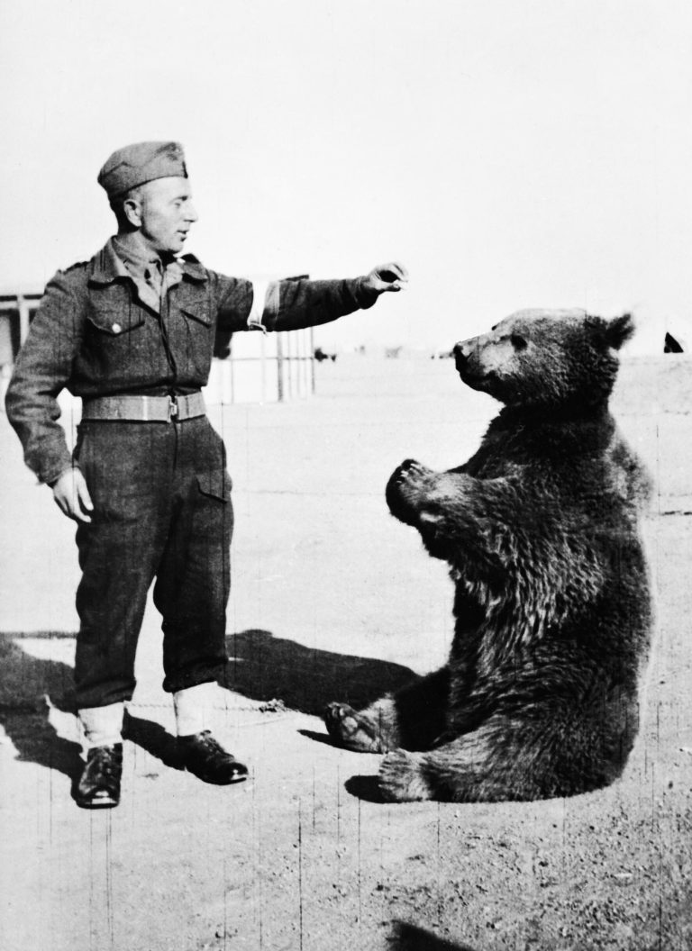 Wojtek_Nied_wied____o_nierz__kt_ry_nie_by__cz_owiekiem