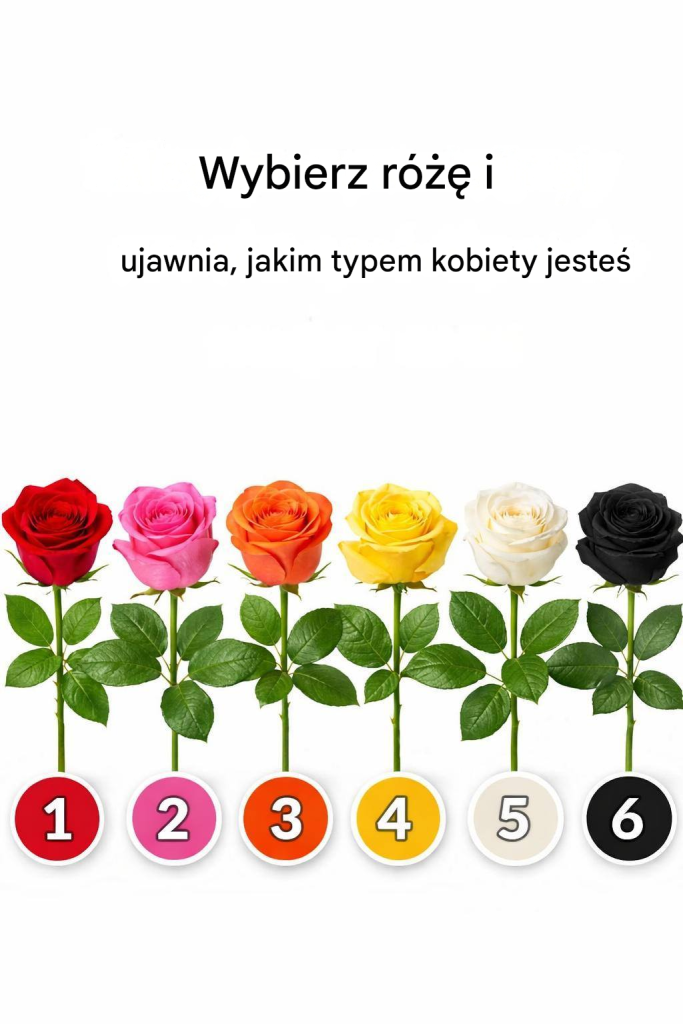 Wybierz_r____i_poka___jak__kobiet__jeste___8230__Zobacz_wi_cej