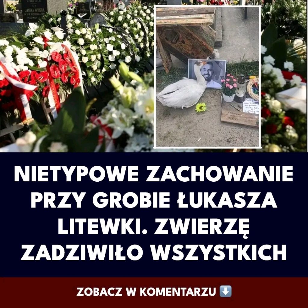 Wzruszaj_cy_gest_g_ski_Sunny_przy_grobie__ukasza_Litewki_poruszy__internaut_w