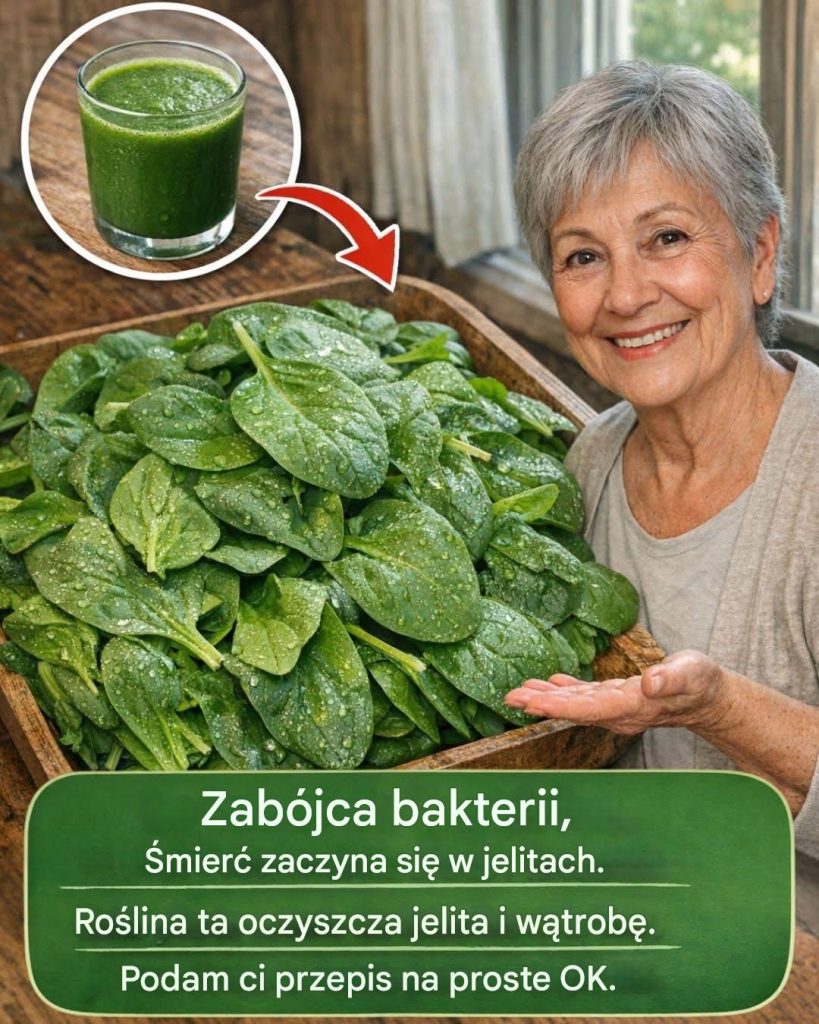 Zab_jca_bakterii__likwiduje__mier__w_jelitach__Ta_ro_lina_oczyszcza_jelita_i_w_trob___Podam_ci_przepis_na_prost__ok_ Zab_jca_bakterii__likwiduje__mier__w_jelitach__Ta_ro_lina_oczyszcza_jelita_i_w_trob___Podam_ci_przepis_na_prost__ok_