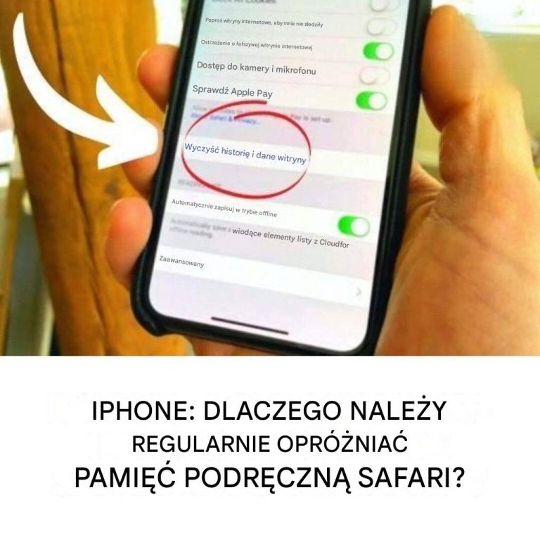 iPhone__Dlaczego_warto_regularnie_czy_ci__pami___podr_czn__przegl_darki_Safari_