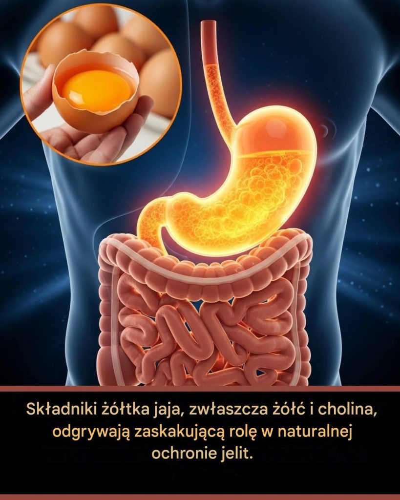 to_p_yn_trawienny_naturalnie_produkowany_przez_w_trob__