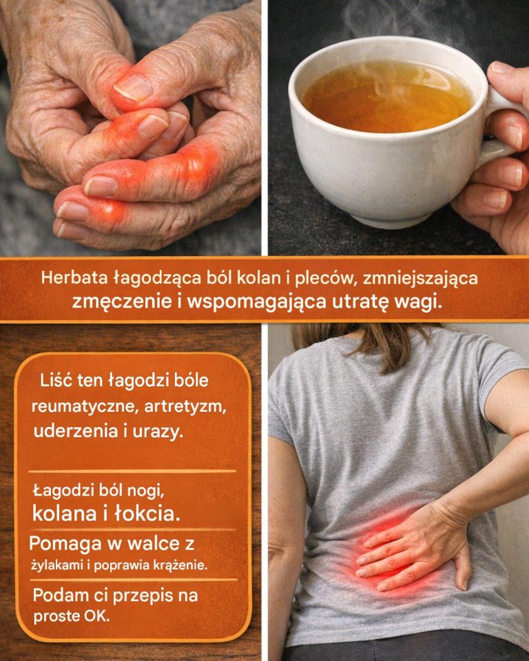 articleops-1780645297635