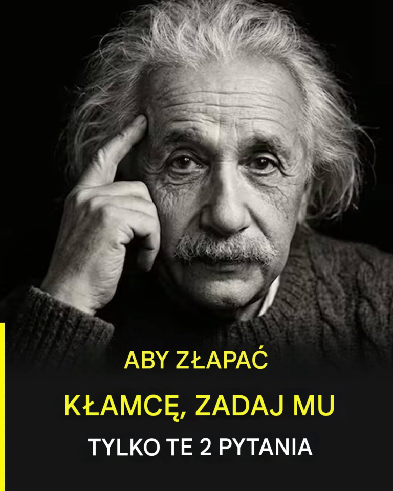 articleops-1780645394453
