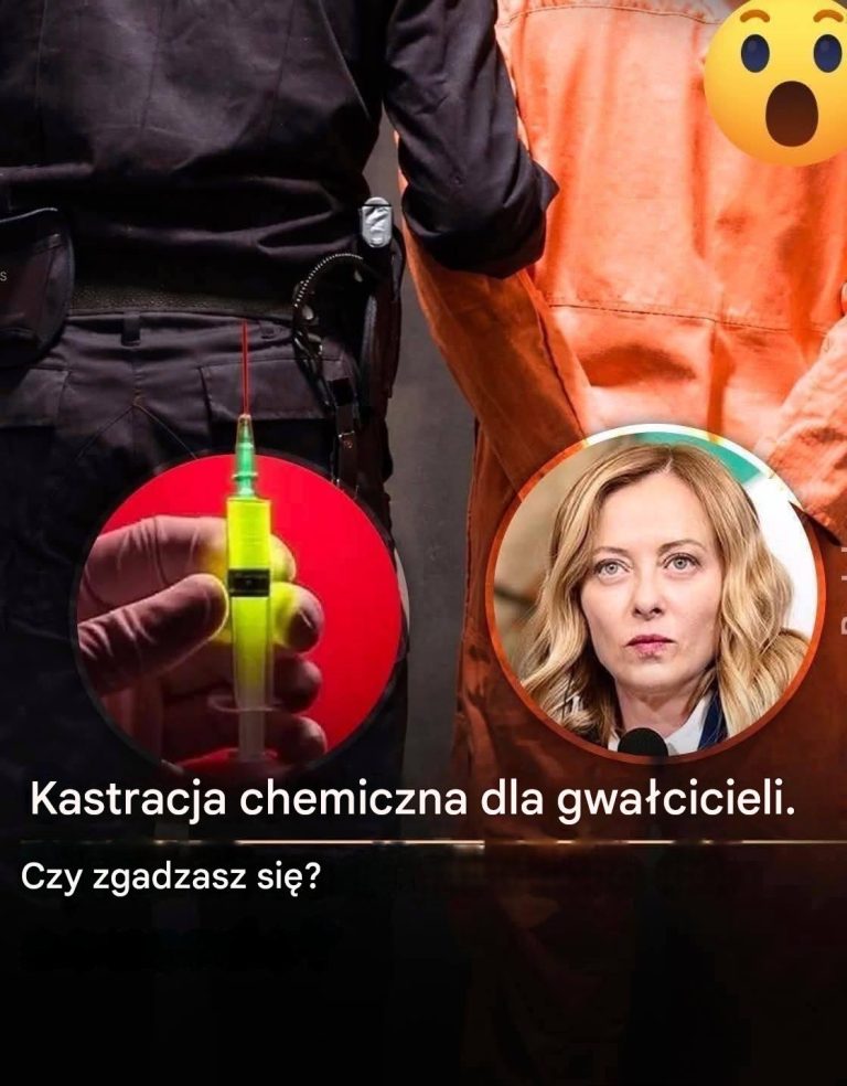 articleops-1780645394652