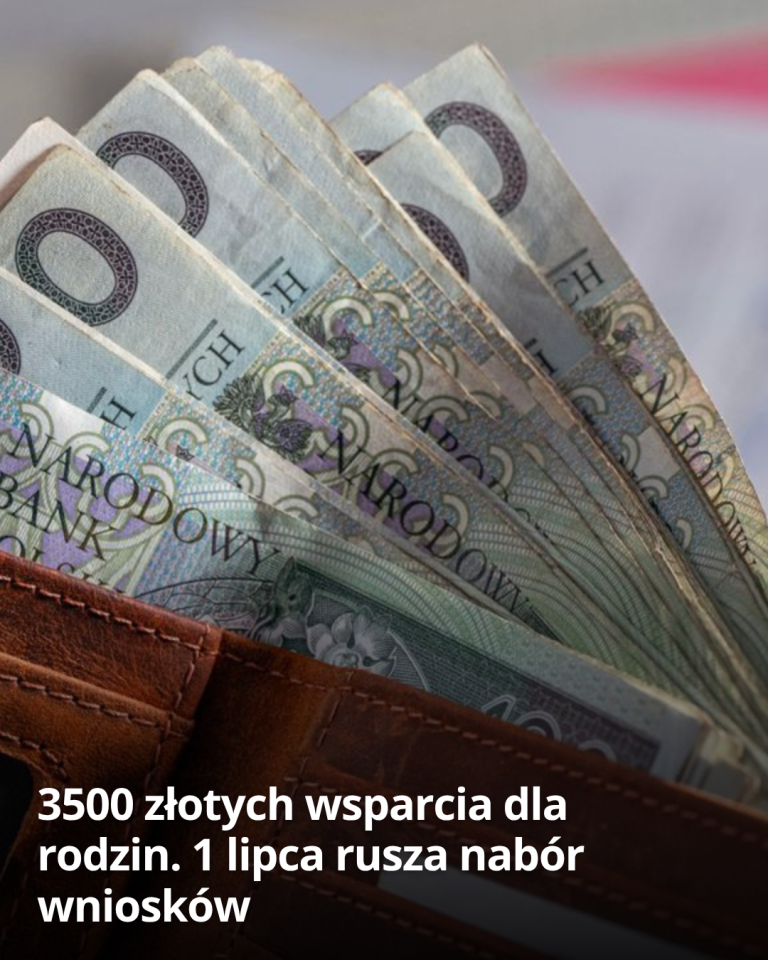 articleops-1784933818779