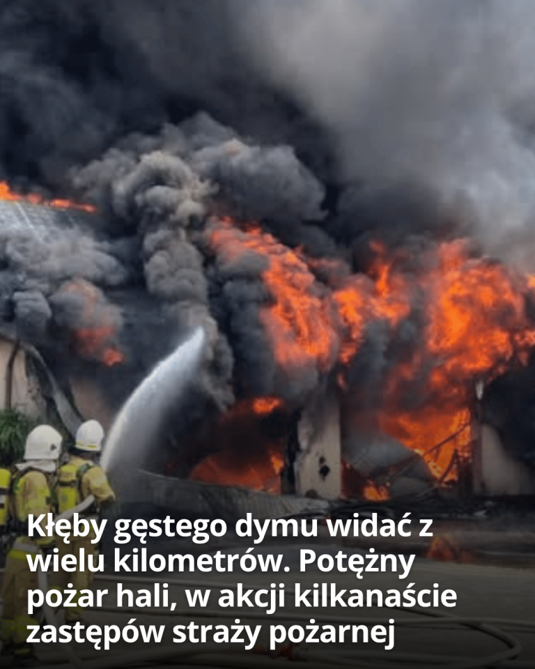 articleops-1784933851789