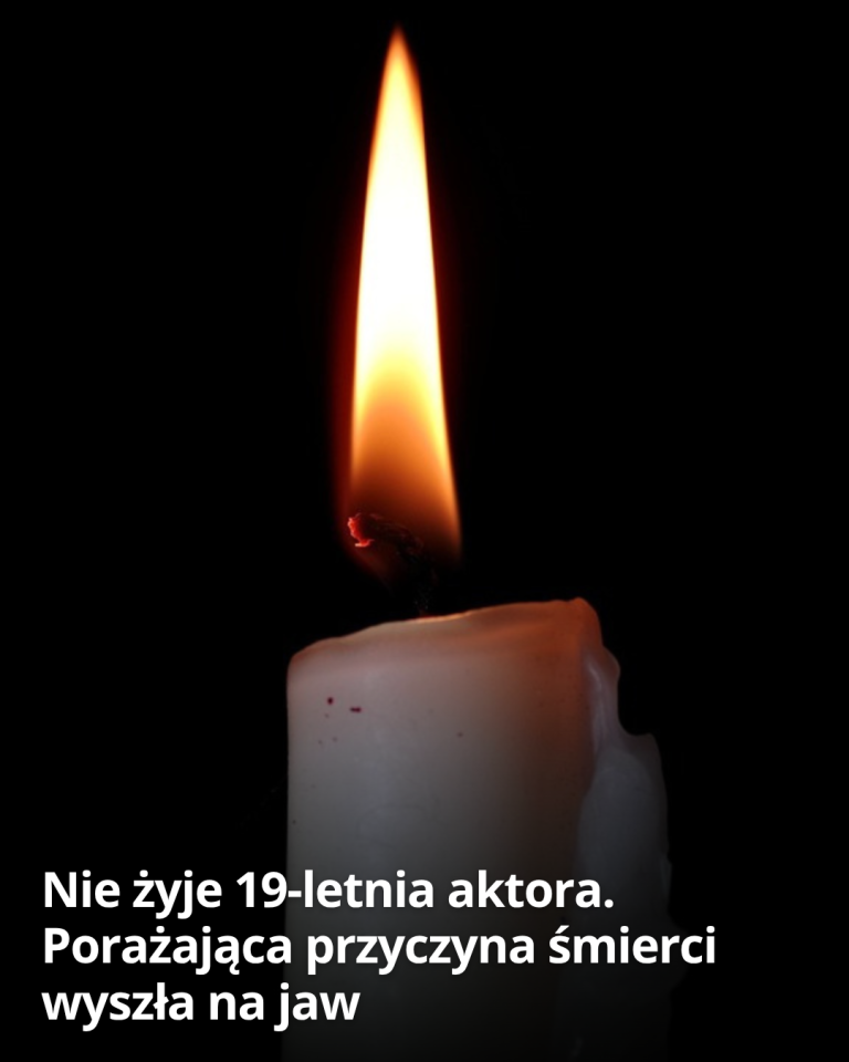 articleops-1784933915195