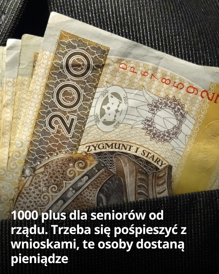 articleops-1785341872685