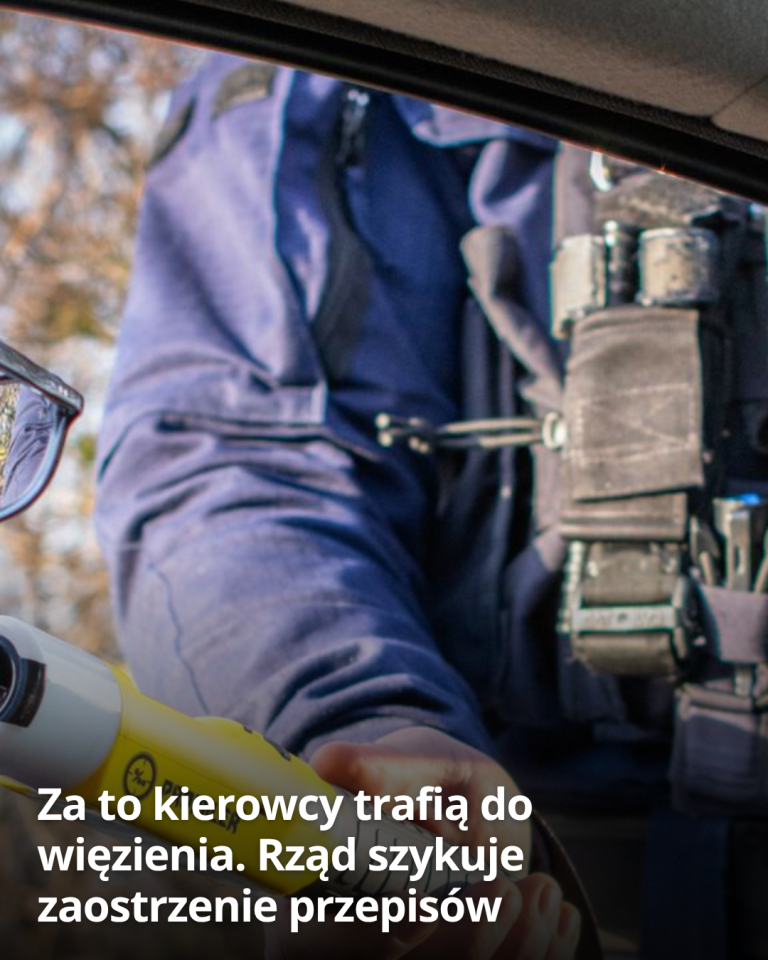 articleops-1785775486882
