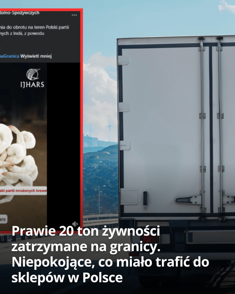 articleops-1785914551713