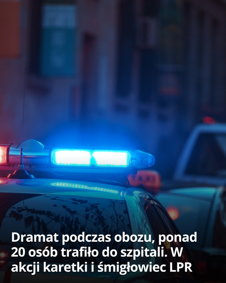 articleops-1786005139951