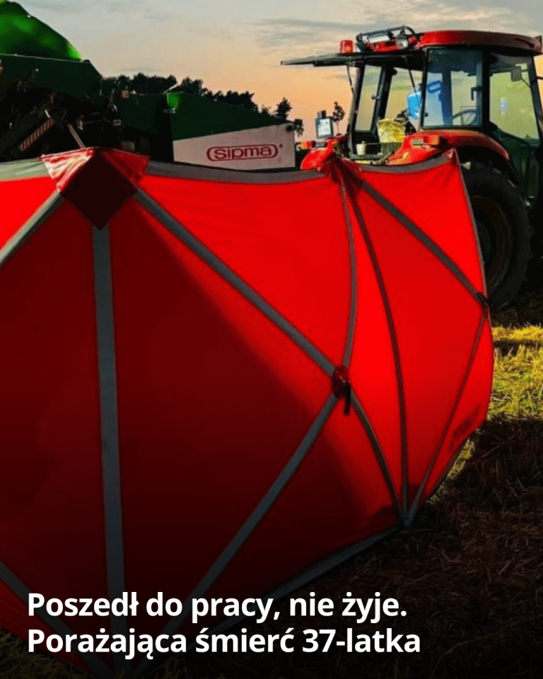 articleops-1786005140299
