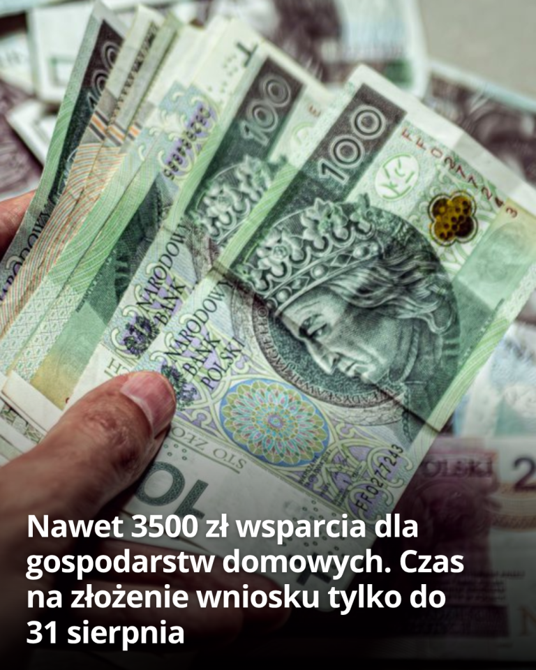 articleops-1786182040433