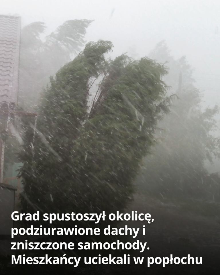 articleops-1786182040956