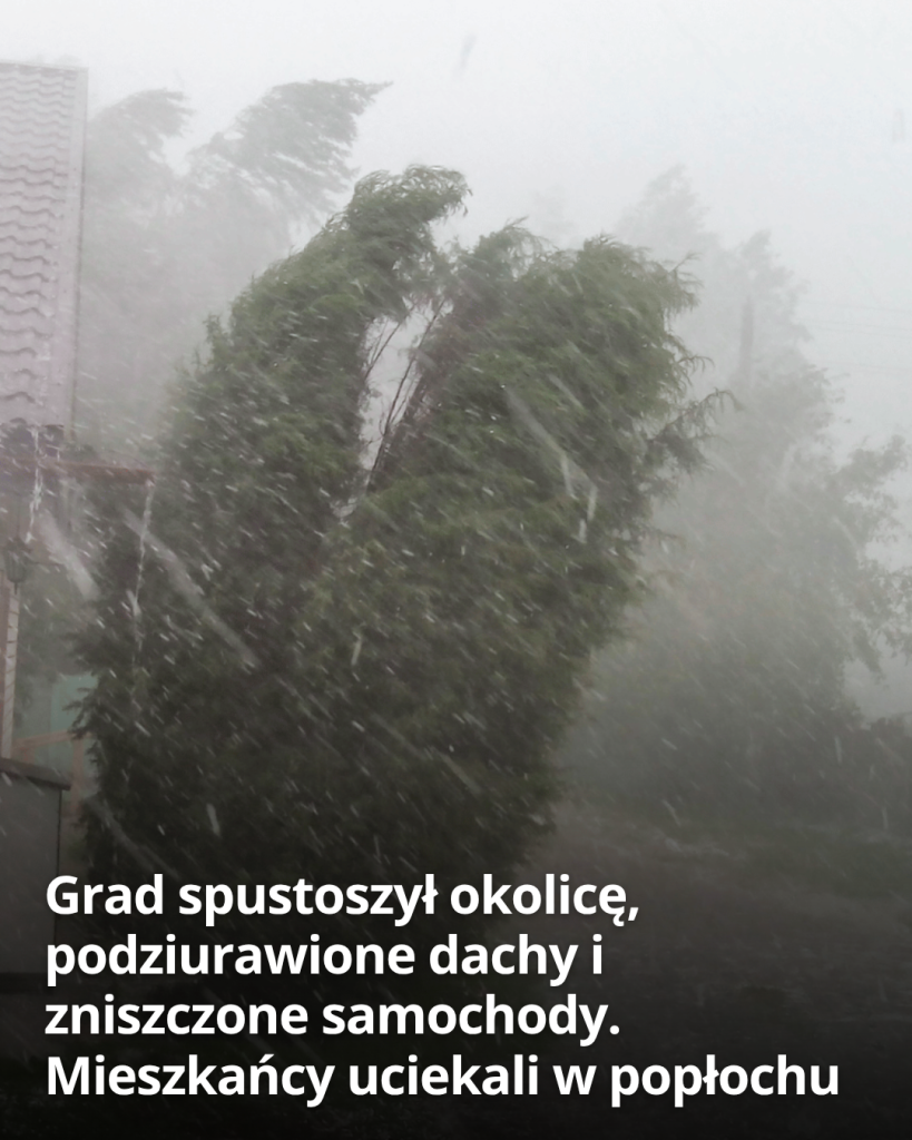 articleops-1786182040956