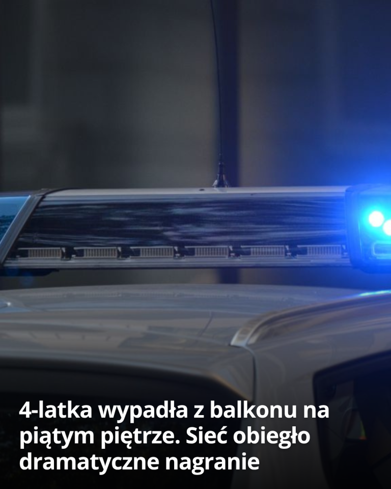 articleops-1786436219146